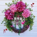 창립일 모임을 마치고~~^ 이미지