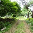 용문산공인중개사사무소 이미지