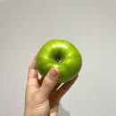 푸른아오리 | 여름사과 새콤달콤 아오리사과 솔직후기