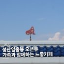 워시드카 | 성산일출봉 카페 프릳츠 후기 ㅣ핸드드립·말차도나스 시간·뷰 총정리