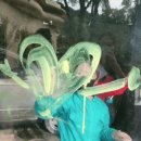 대명대길11번길 이미지