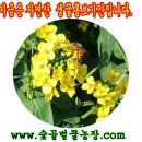 숯골농장 이미지