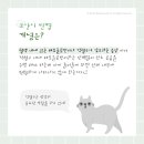 한강동물메디컬센터 이미지