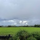 비자림빌리지1 이미지