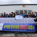 제주돌담 이미지