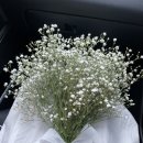 스마일재활의학과의원 이미지