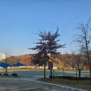 인라인스케이트장 앞 이미지