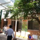 밀밭식당 이미지