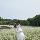 협재해변B | 제주 웨딩스냅 촬영 제주도 차량 렌트 대여 대절 여자 여성 기사 포함 후기