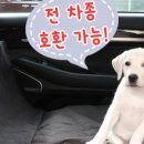영주시장수면보건지소 네이버블로그