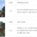 푸른숲 이미지