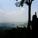 진달래종합상사 이미지