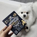 pet52다2098 | 강아지유산균 닥터페렌들리 꾸준히 먹이고 달라진점