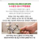 건일자동차공업사 이미지