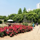 장미정원 이미지