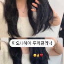 피오나헤어 이미지