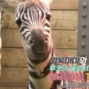 루카농장 이미지