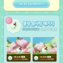 솜사탕펫 네이버블로그