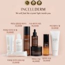 인셀덤열정 이미지