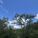 정훈농장 이미지