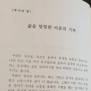 손민준 Daum카페