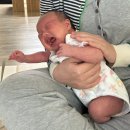 진리오이 이미지