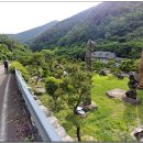 남근농장 이미지