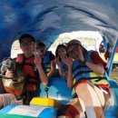 한강오리 이미지