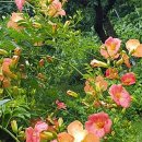 한덕농장 이미지