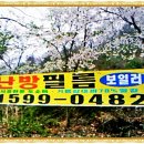 농촌지 낚시터 이미지