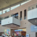 다음펫 | 2025 하반기 펫페어 메가주 금요일 오픈런 후기