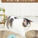 에스몰 이미지