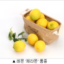 제라 이미지