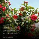 더봄날에 이미지