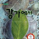 제주꿈바당어린이도서관 이미지
