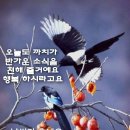 만사형통 이미지