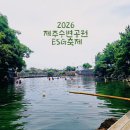 유등의꿈 | [제주 7월 축제] 2026 제주 수변공원 ESG 축제 실시간 방문 후기! 주차 꿀팁 및 테우체험 정보