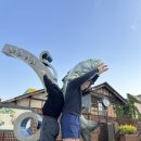 포도원회집 이미지