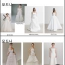 플래너 없이 결혼준비하기 모드니 드레스투어