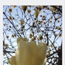 호법초등학교 이미지