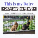 [1월 재능나눔] 나만의 인형 만들기 원데이클래스 <내 손으로 꾸미는 모루인형 1/25> | 이야기 | 2025년 08월의 생존보고서 : 난리뽕짝부르스