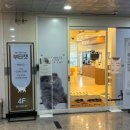 미모힐링카페 | 마곡고양이카페 부타캣 강서점 초귀요미 개냥이들이랑 사심가득 힐링하기