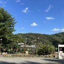 펫 뮤지엄 이미지