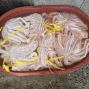 백마축산 이미지