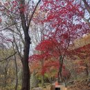 (주)금오산안가 | 구미 금오산 현월봉 찍고 내려오기 〰️