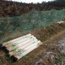 내사농장 이미지