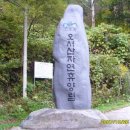 오서산꿈의궁전 이미지