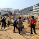 희망나무심기5 이미지