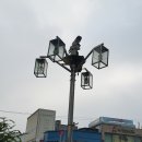 (주)씨네씨티 이미지