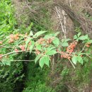 삼보농장 이미지